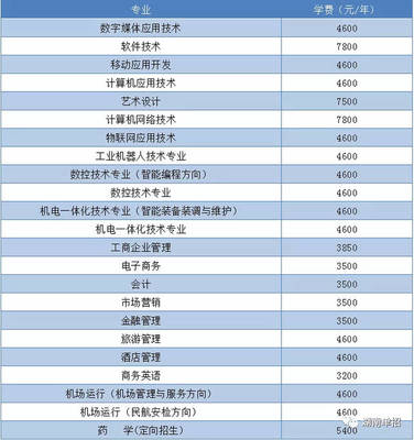 湖南省單招考試報考計算機、軟件類專業(yè)院校與重點推薦—聚焦技術(shù)開發(fā)與銷售