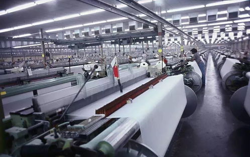 開廠13年，老板看透了 高端產品總在談價格，低端產品老是談質量',